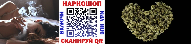 Псилоцибиновые грибы Аркадак